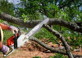 Best Lot and Land Clearing  in South Fulton, TN